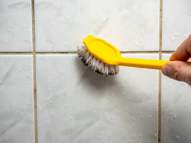 Best Fast Mold Removal  in Fleetwood, PA