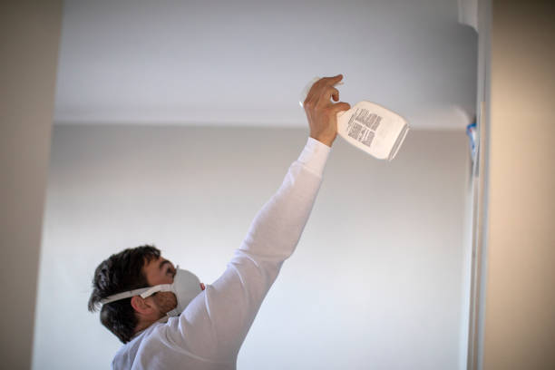 Best Water Damage Restoration  in Fleetwood, PA