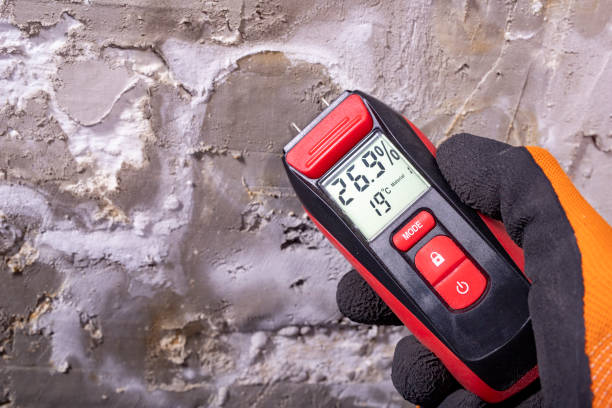 Best Mold Remediation  in Fleetwood, PA