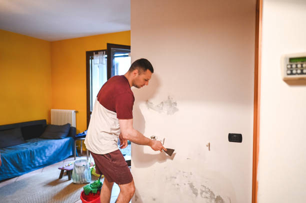Best Mold Removal Company Near Me  in Fleetwood, PA